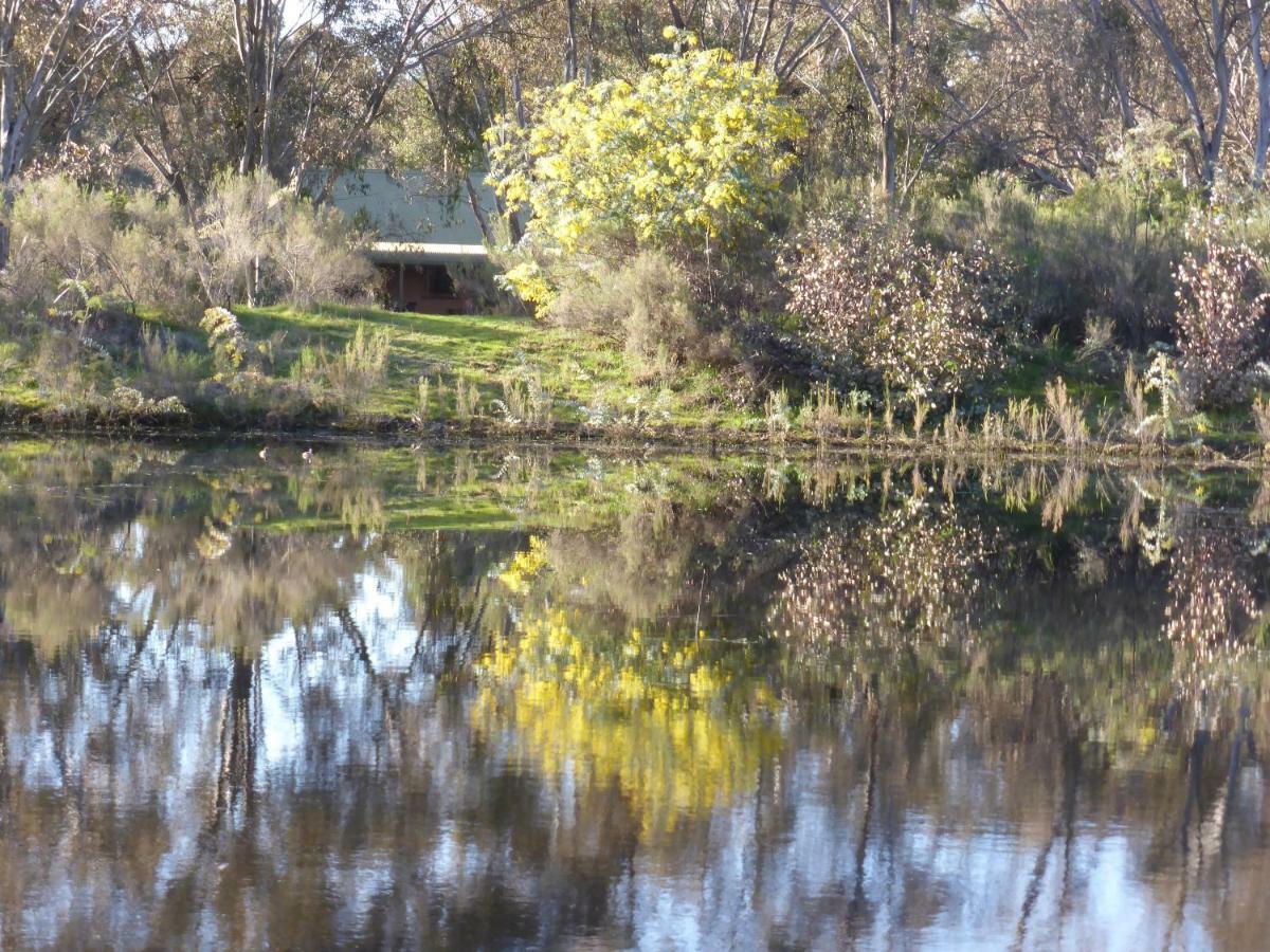 Wildwood Guesthouse Mudgee Exterior foto